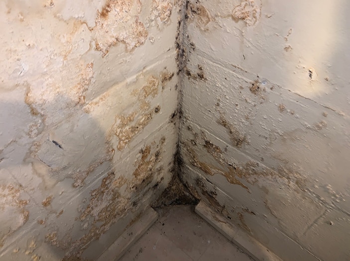 signs of water damage in basement