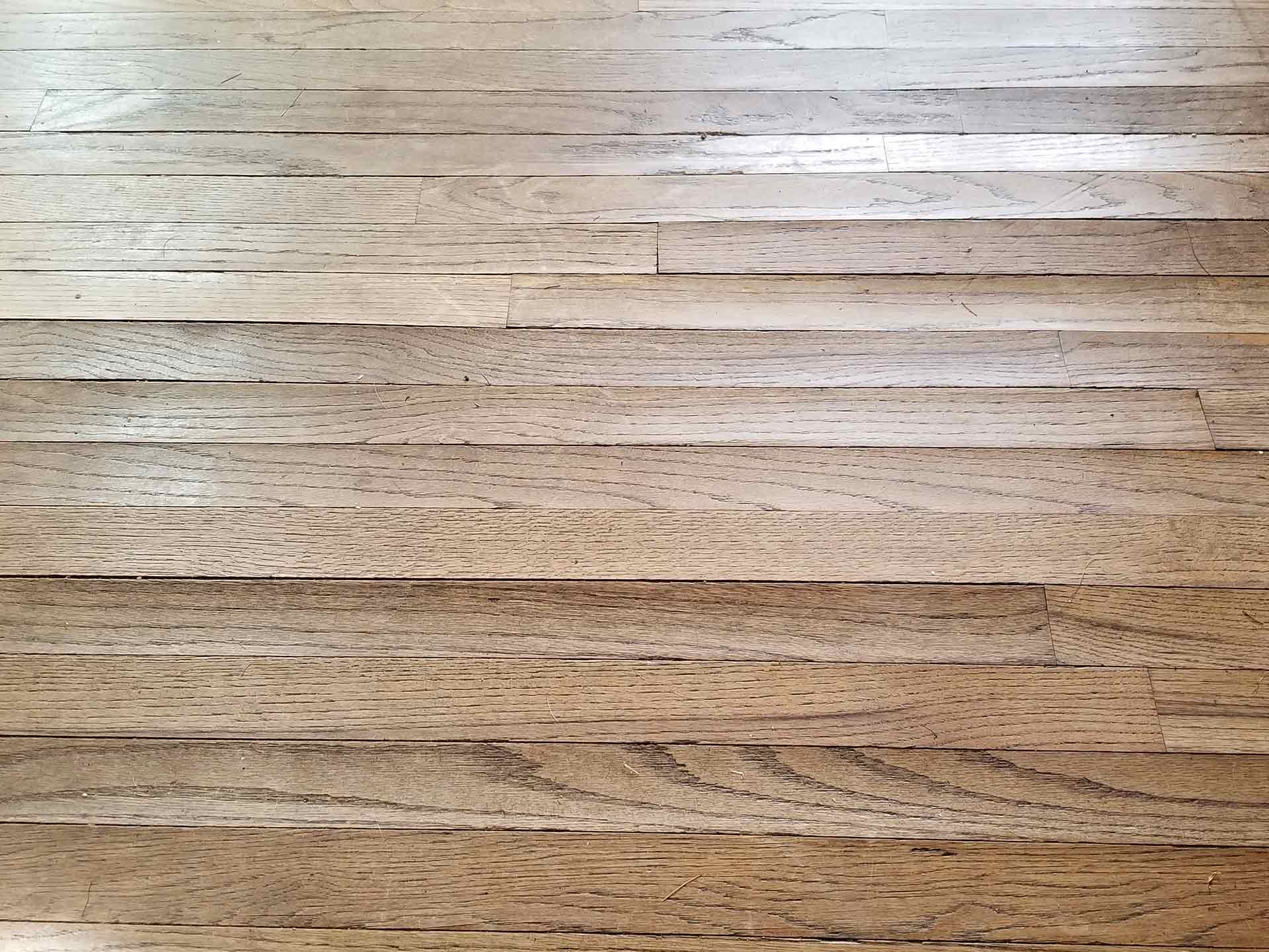 buckling wood floors