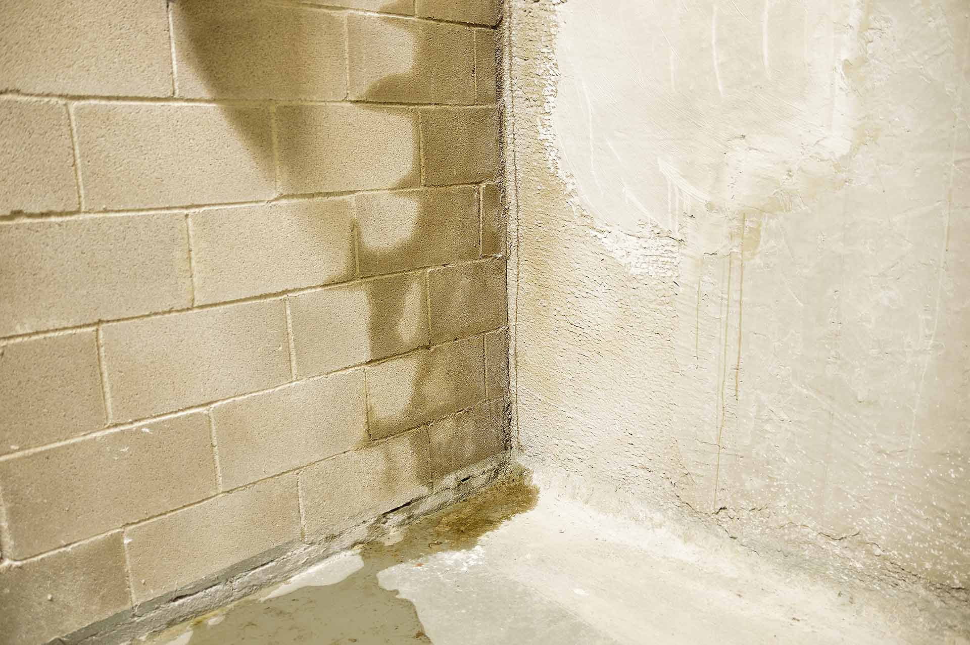 wet basement wall corner