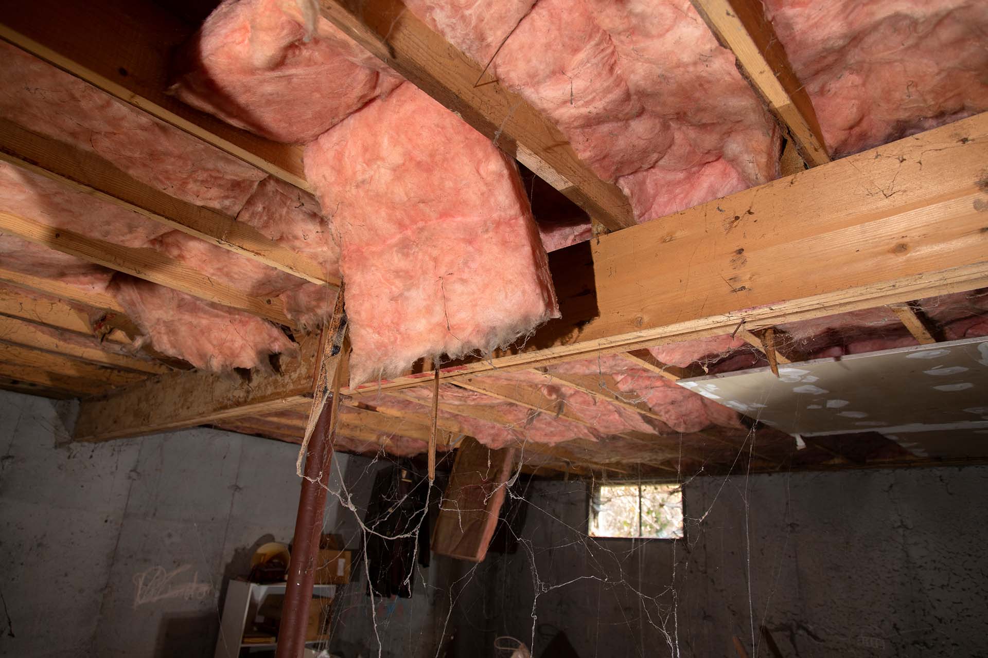 Wet Insulation in Crawl Space